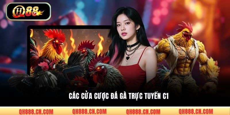Các cửa cược đá gà trực tuyến C1