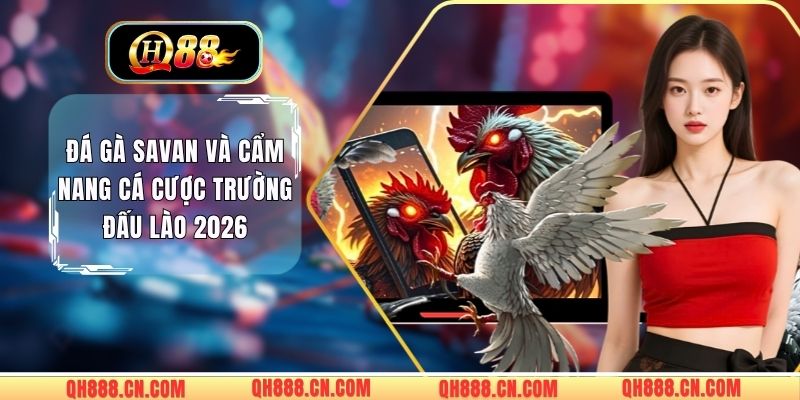 Đá Gà Savan Và Cẩm Nang Cá Cược Trường Đấu Lào 2026