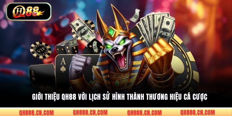 Giới thiệu QH88 với lịch sử hình thành thương hiệu cá cược