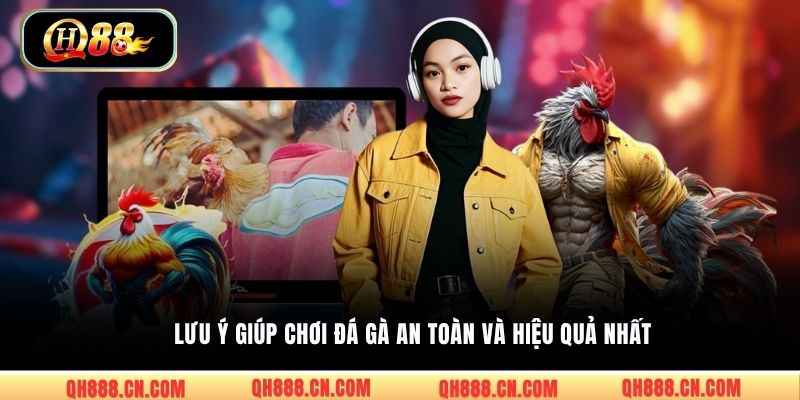 Lưu ý giúp chơi đá gà an toàn và hiệu quả nhất