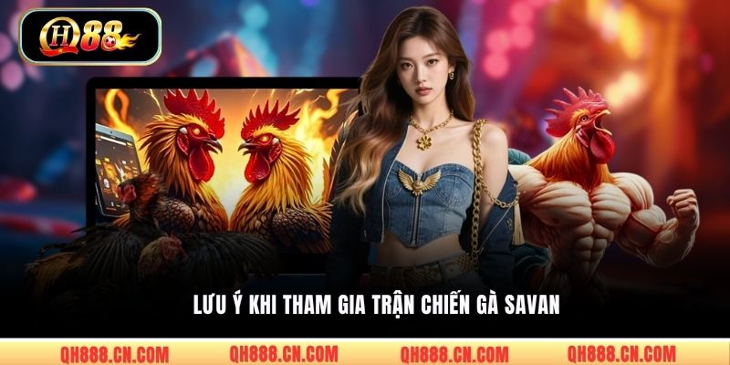 Lưu ý khi tham gia trận chiến gà Savan