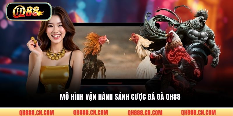 Mô hình vận hành sảnh cược đá gà QH88