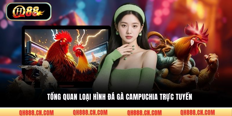 Tổng quan loại hình đá gà Campuchia trực tuyến